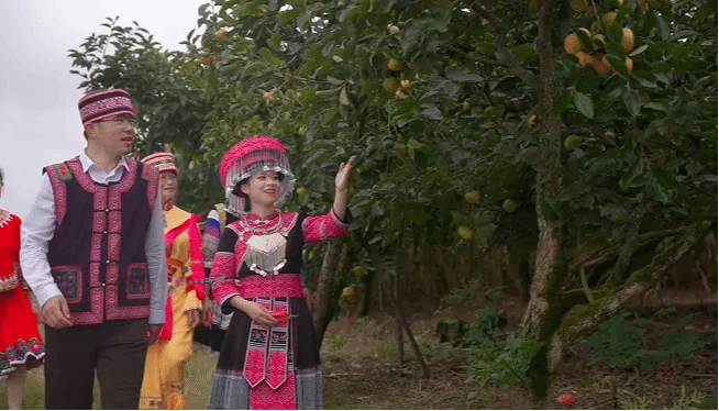 九游·会(J9.com)集团官网 - 真人游戏第一品牌[首页]