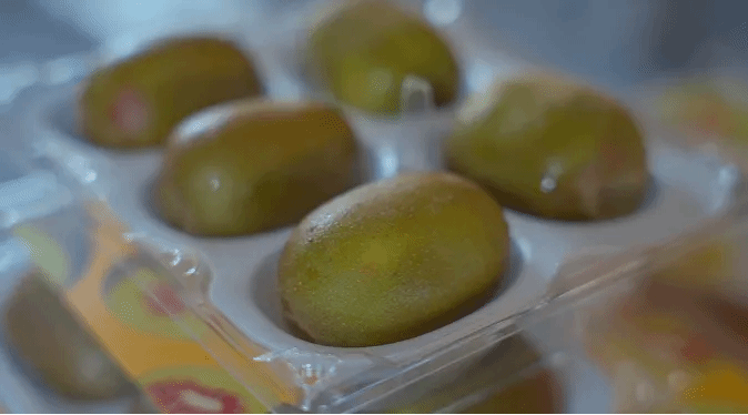 九游·会(J9.com)集团官网 - 真人游戏第一品牌[首页]