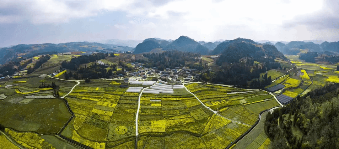 九游·会(J9.com)集团官网 - 真人游戏第一品牌[首页]