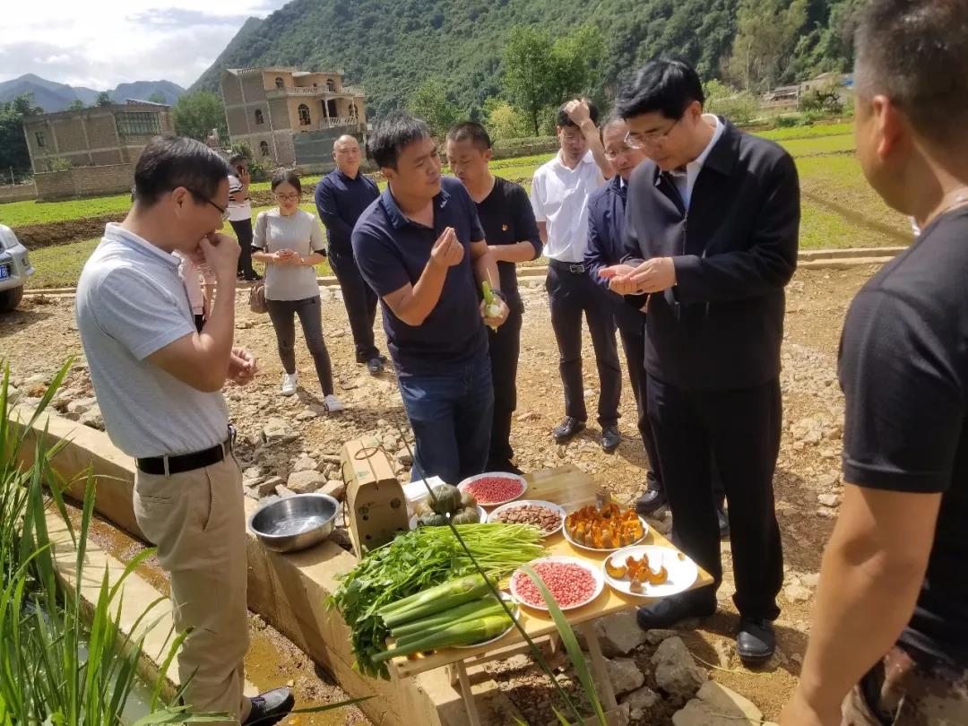 九游·会(J9.com)集团官网 - 真人游戏第一品牌[首页]