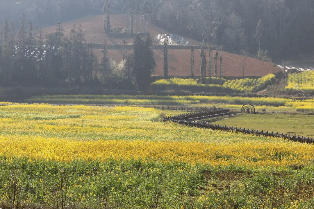 九游·会(J9.com)集团官网 - 真人游戏第一品牌[首页]